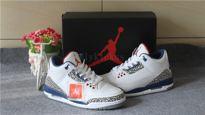 Air Jordan III 3 OG True Blue White Nike Back